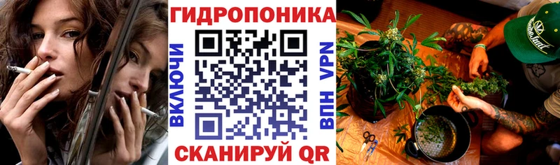 Магазины продажи наркотиков Никольское Alpha PVP  МАРИХУАНА  Меф  АМФ  Гашиш 