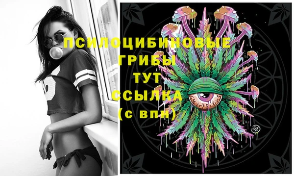 ешки Алексин