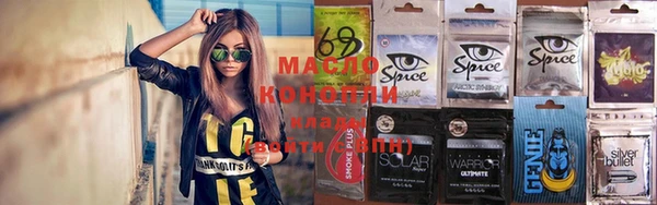 гашик Алексеевка