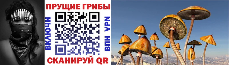 цены   Никольское  omg ССЫЛКА  Галлюциногенные грибы прущие грибы 